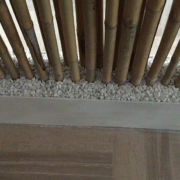 canne bambu1