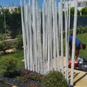canne bambu10
