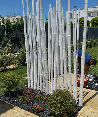 canne bambu10