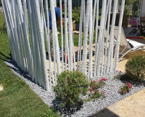 canne bambu11