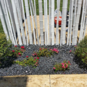canne bambu2