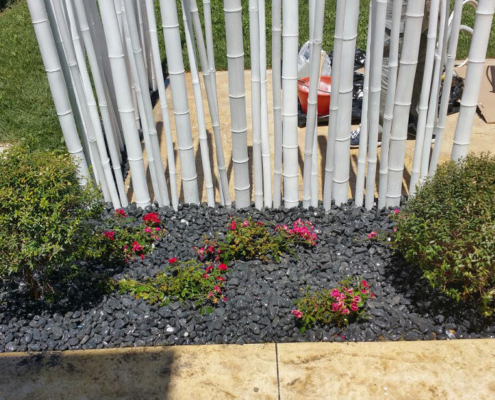 canne bambu2