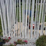 canne bambu3