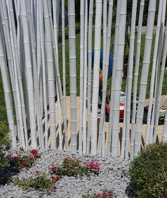canne bambu3