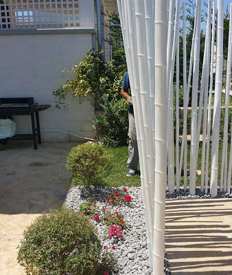 canne bambu5