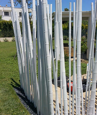 canne bambu7