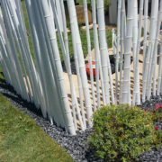canne bambu9