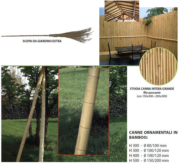 canne ornamentali bambu