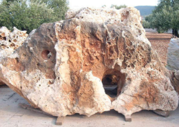 esemplari roccia _0769 esemplari roccia 0769