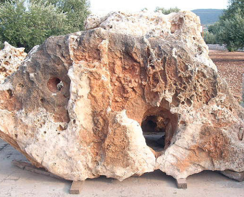 esemplari roccia _0769 esemplari roccia 0769
