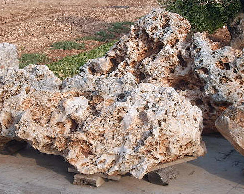 esemplari roccia _0771 esemplari roccia 0771