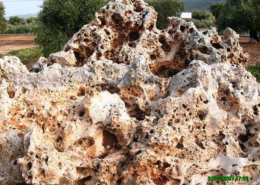 esemplari roccia _0776 esemplari roccia 0776