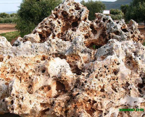 esemplari roccia _0776 esemplari roccia 0776