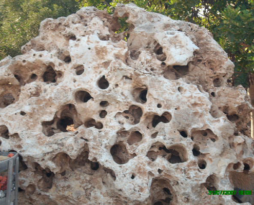 esemplari roccia _0796 esemplari roccia 0796