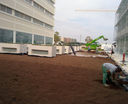 produzione terriccio per giardini pensili 016 produzione terriccio per giardini pensili 016