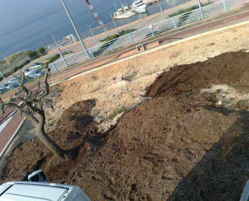produzione terriccio per giardini pensili 017 produzione terriccio per giardini pensili 017