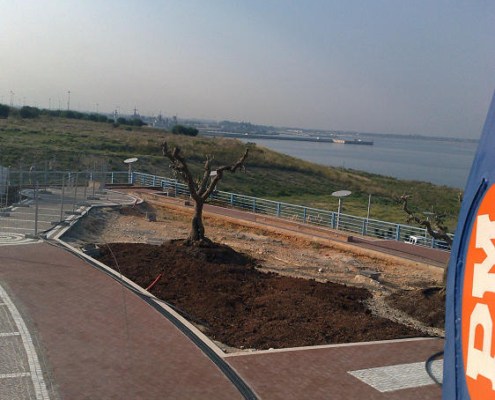produzione terriccio per giardini pensili 018 produzione terriccio per giardini pensili 018