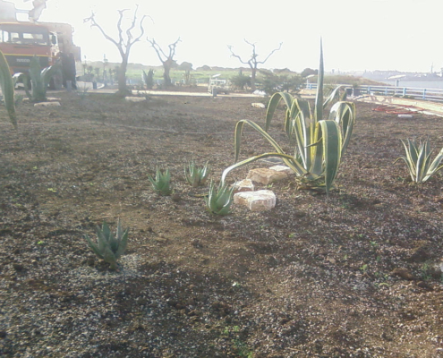 produzione terriccio per giardini pensili 3 produzione terriccio per giardini pensili 3
