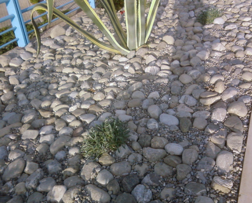 produzione terriccio per giardini pensili 6 produzione terriccio per giardini pensili 6