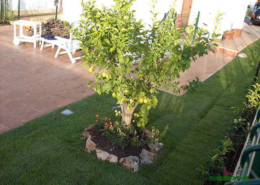 roccia allestimento giardino4 roccia allestimento giardino4