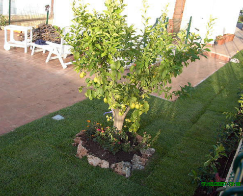roccia allestimento giardino4 roccia allestimento giardino4