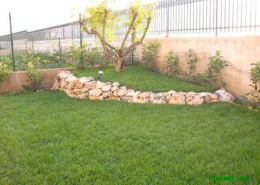roccia allestimento giardino6 roccia allestimento giardino6
