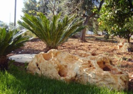 roccia grande allestimento giardino roccia grande allestimento giardino