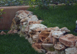 roccia media allestimento giardino roccia media allestimento giardino