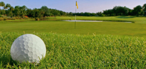terriccio per campi da golf terriccio per campi da golf