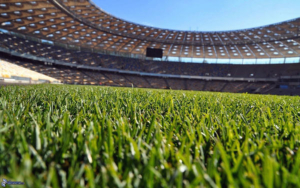 terriccio per campi di calcio terriccio per campi di calcio