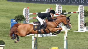terriccio per campi e fondi di equitazione terriccio per campi e fondi di equitazione
