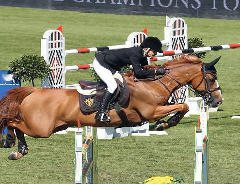 terriccio per campi e fondi di equitazione terriccio per campi e fondi di equitazione