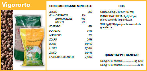vigororto